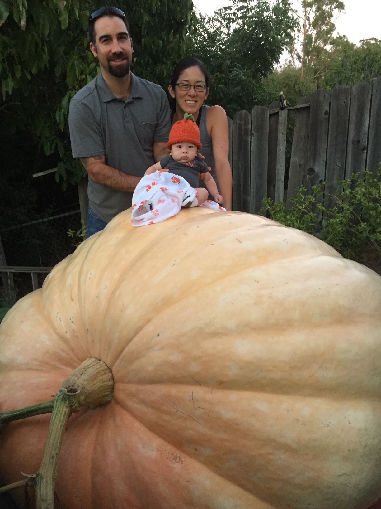 Picking Pumpkins 2015
